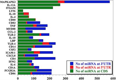 Computational Network Analysis Identifies Evolutionarily Conserved miRNA Gene Interactions Potentially Regulating Immune Response in Bovine Trypanosomosis